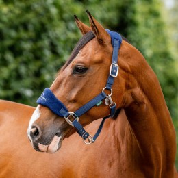 Horseware Signature для ухода Headворотник