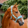 Horseware Signature Grooming Headcollar