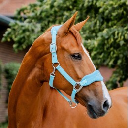 Horseware Signature для ухода Headворотник