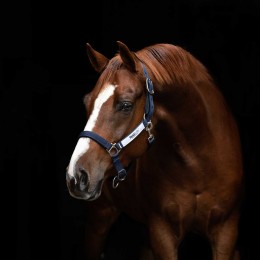Horseware Field Safe недоуздок