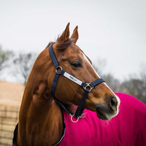 Horseware Field Safe Halter