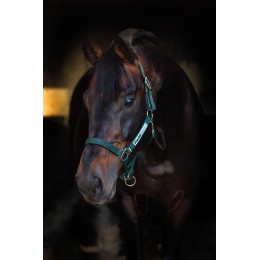 Horseware Field Safe недоуздок
