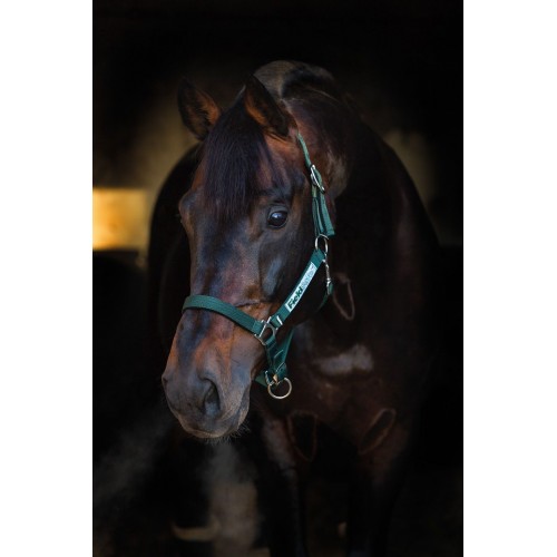 Horseware Field Safe Halter