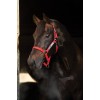 Horseware Field Safe Halter