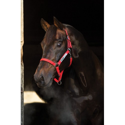 Horseware Field Safe Halter