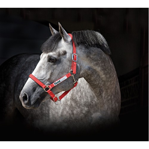 Horseware Field Safe Halter