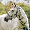 Horseware Field Safe Halter