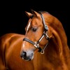 Horseware Signature Leather Headcollar