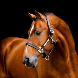 Horseware Signature кожаный Headворотник