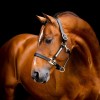 Horseware Signature Leather Headcollar