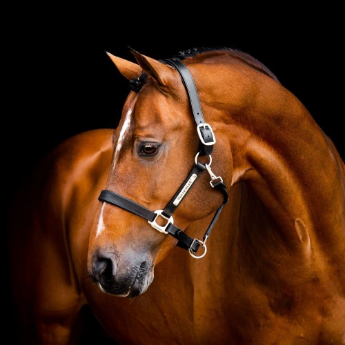 Horseware Signature Leather Headcollar
