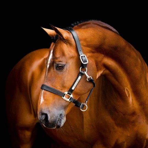 Horseware Signature Leather Headcollar
