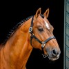 Horseware Signature Leather Headcollar