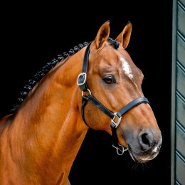 Horseware Signature кожаный Headворотник