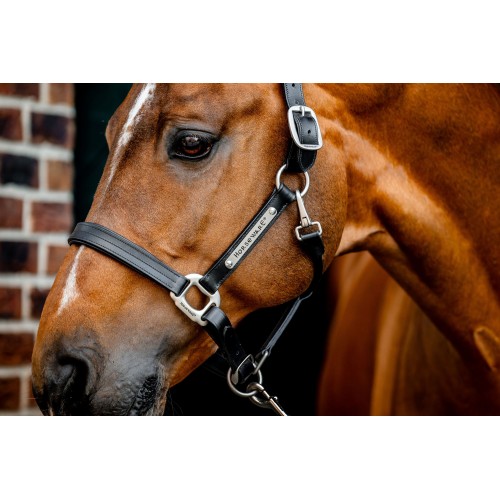 Horseware Signature Leather Headcollar