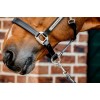 Horseware Signature Leather Headcollar
