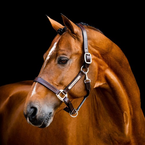 Horseware Signature Leather Headcollar