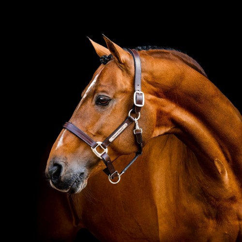 Horseware Signature Leather Headcollar