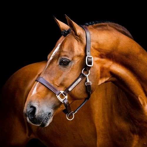 Horseware Signature Leather Headcollar