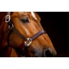 Horseware Signature Leather Headcollar