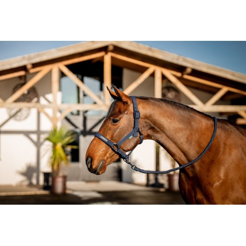 Amigo Headcollar & Leadrope Set
