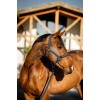 Amigo Headcollar & Leadrope Set