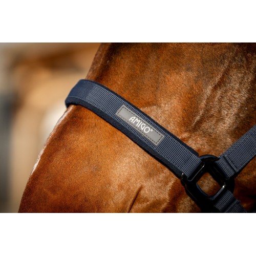 Amigo Headcollar & Leadrope Set