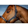 Amigo Headcollar & Leadrope Set