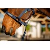 Amigo Headcollar & Leadrope Set