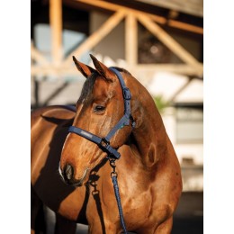 Amigo Headворотник & Leadrope комплект