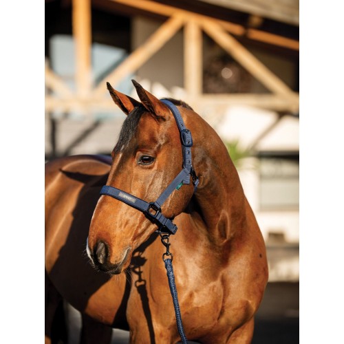 Amigo Headcollar & Leadrope Set
