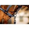 Amigo Headcollar & Leadrope Set