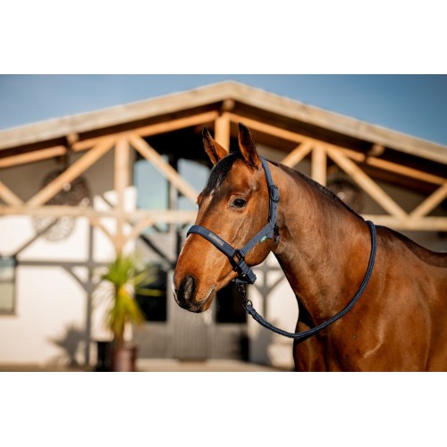 Amigo Headcollar & Leadrope Set