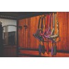 Amigo Headcollar & Leadrope Set