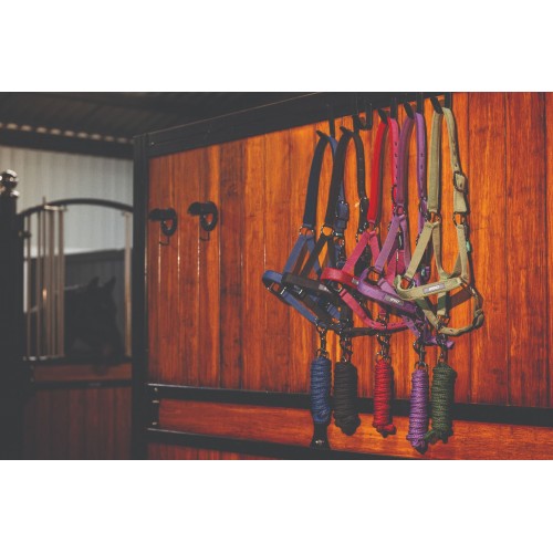Amigo Headcollar & Leadrope Set