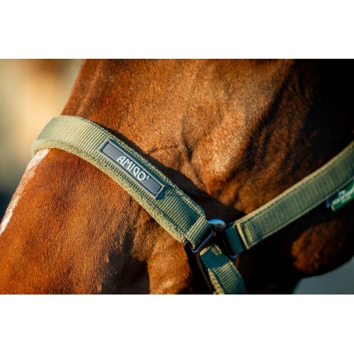 Amigo Headcollar & Leadrope Set