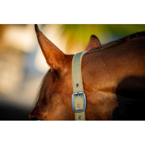 Amigo Headcollar & Leadrope Set