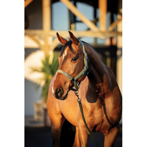 Amigo Headcollar & Leadrope Set