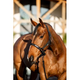 Amigo Headворотник & Leadrope комплект