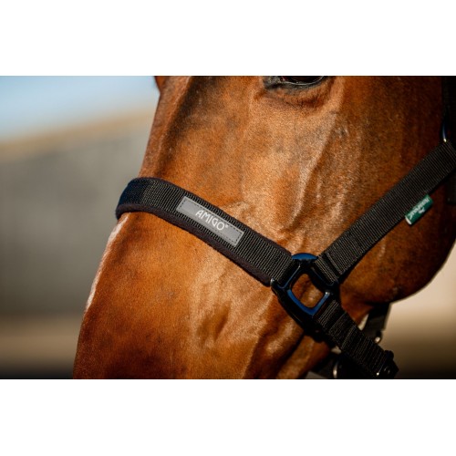 Amigo Headcollar & Leadrope Set