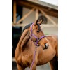 Amigo Headcollar & Leadrope Set