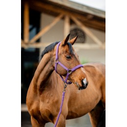 Amigo Headворотник & Leadrope комплект
