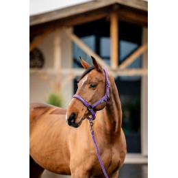 Amigo Headворотник & Leadrope комплект