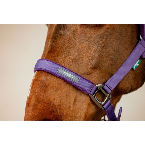 Amigo Headcollar & Leadrope Set