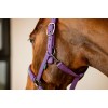 Amigo Headcollar & Leadrope Set
