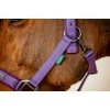 Amigo Headcollar & Leadrope Set
