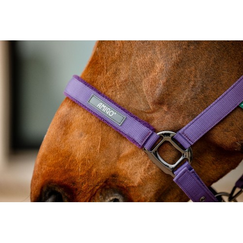 Amigo Headcollar & Leadrope Set