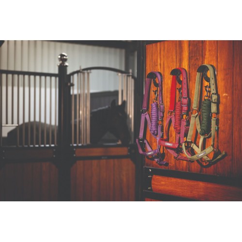 Amigo Headcollar & Leadrope Set
