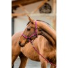 Amigo Headcollar & Leadrope Set