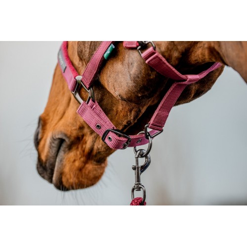 Amigo Headcollar & Leadrope Set